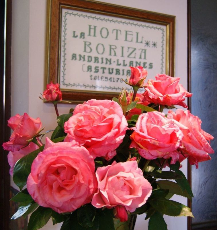 Hotel La Boriza อันดริน ภายนอก รูปภาพ